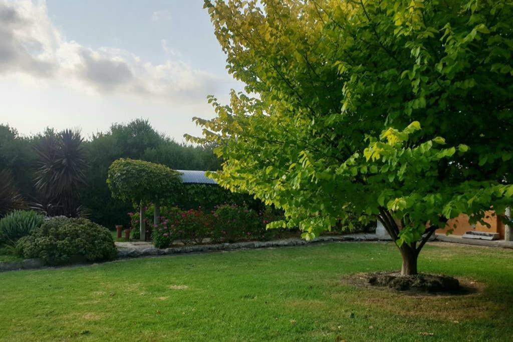 Bella Mia Tuscan Paradise Mount Gambier Bagian luar foto