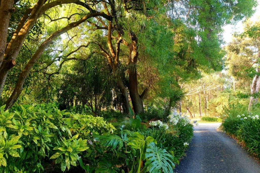 Bella Mia Tuscan Paradise Mount Gambier Bagian luar foto